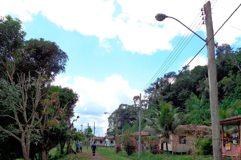 Floresta Estadual do Amapá