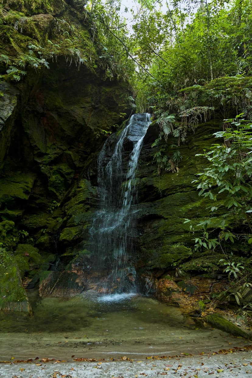 Parque Estadual da Serra dos Pireneus