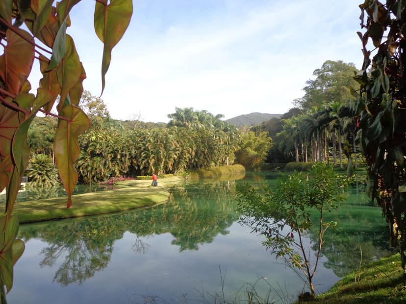 Brumadinho