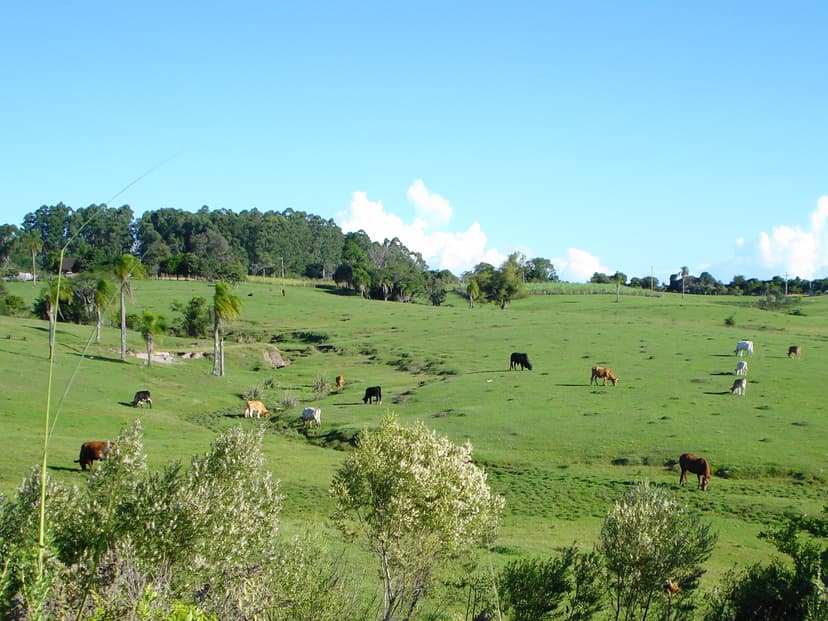 CTG Coxilha Verde