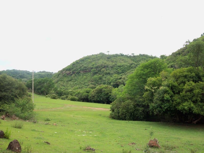 São Francisco de Assis