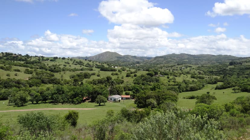 São Vicente do Sul