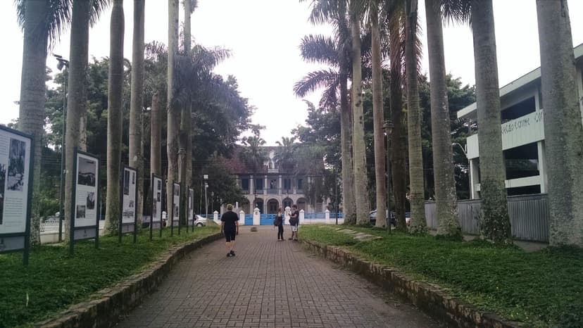 Rua das Palmeiras