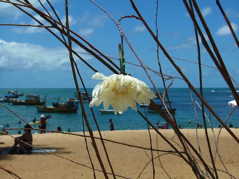 Praia do Forte