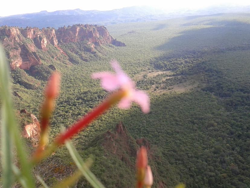 Cidade de Pedra