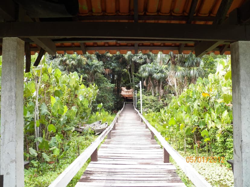 Parque Estadual do Utinga