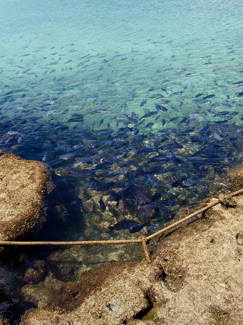 Porto de Galinhas