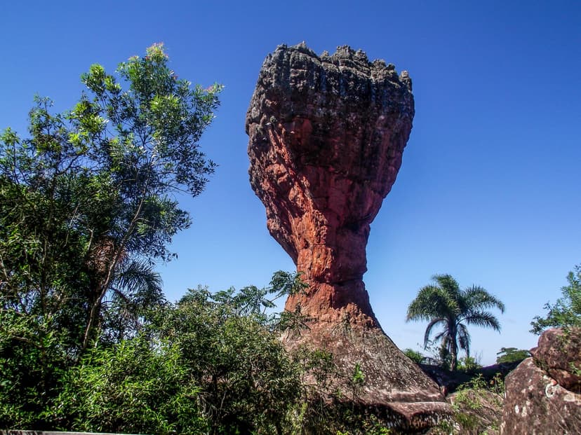 Ponta Grossa