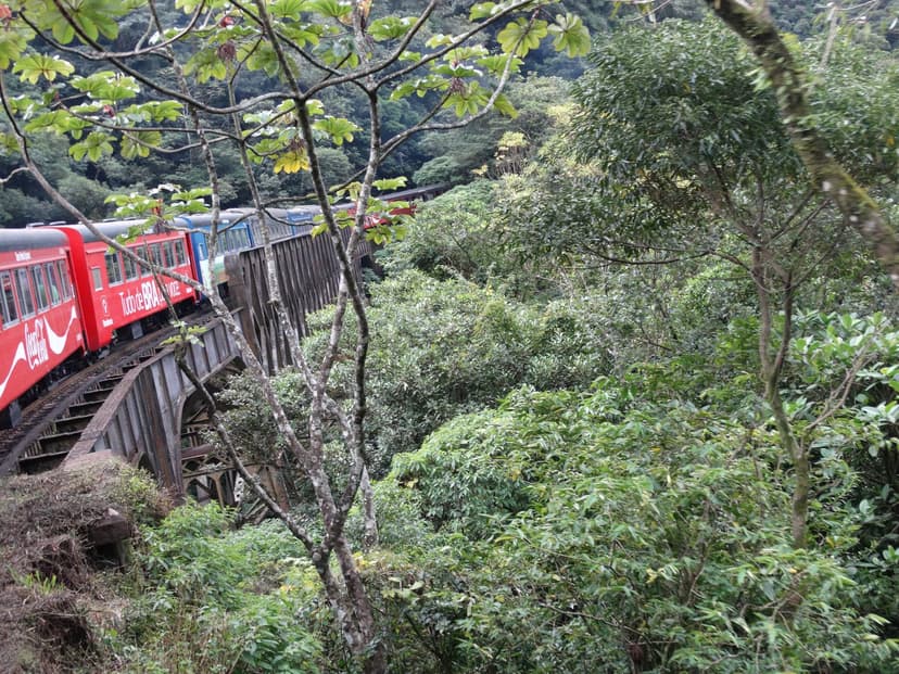 Serra do Mar Paranaense