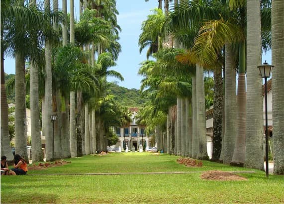 Norte Catarinense