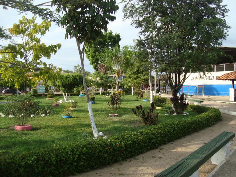 Parque de Laranjal do Jari