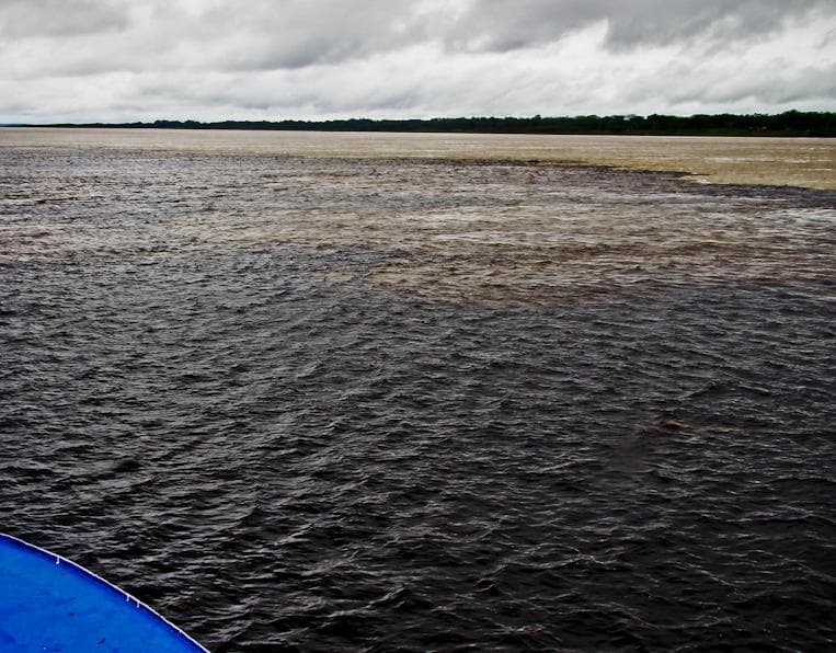 Floresta Amazônica