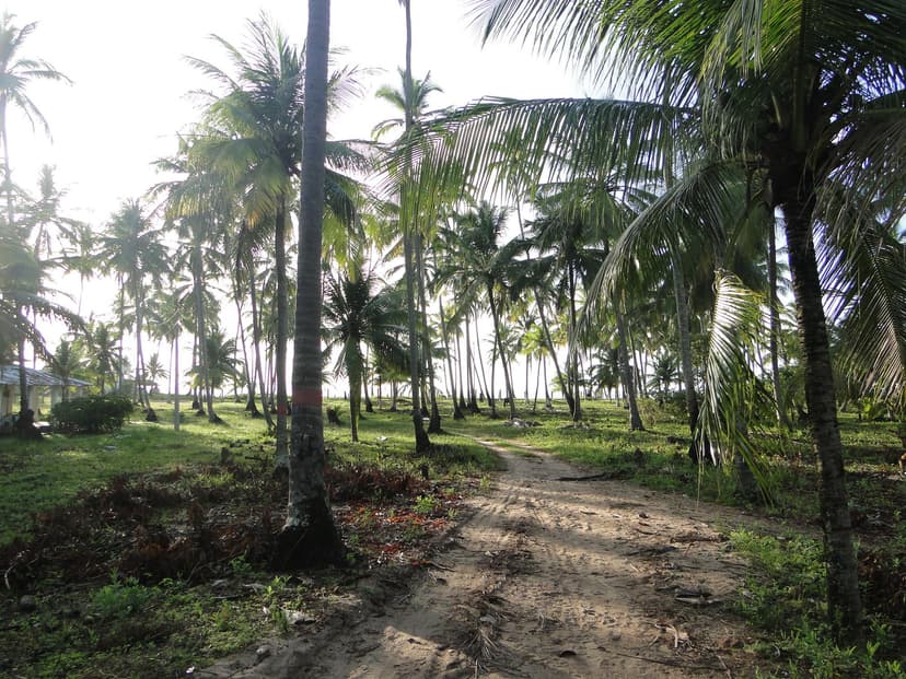 Praia de Bitingui
