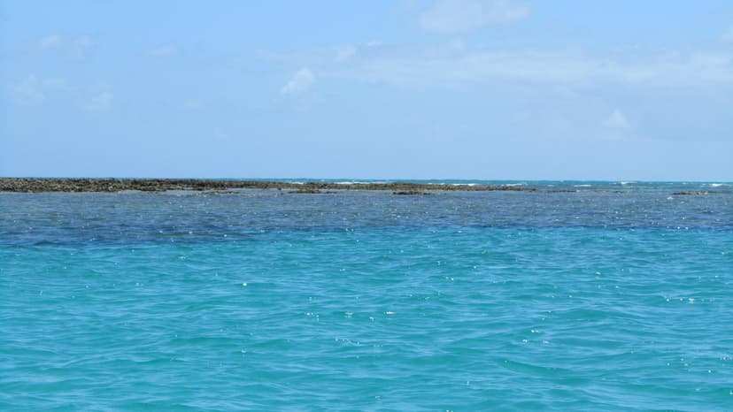 Galés de Maragogi