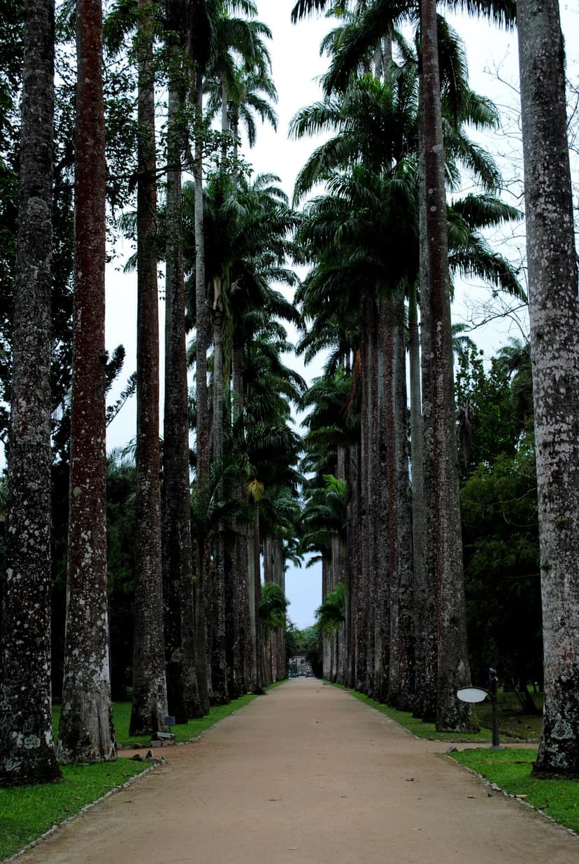Jardim Botânico