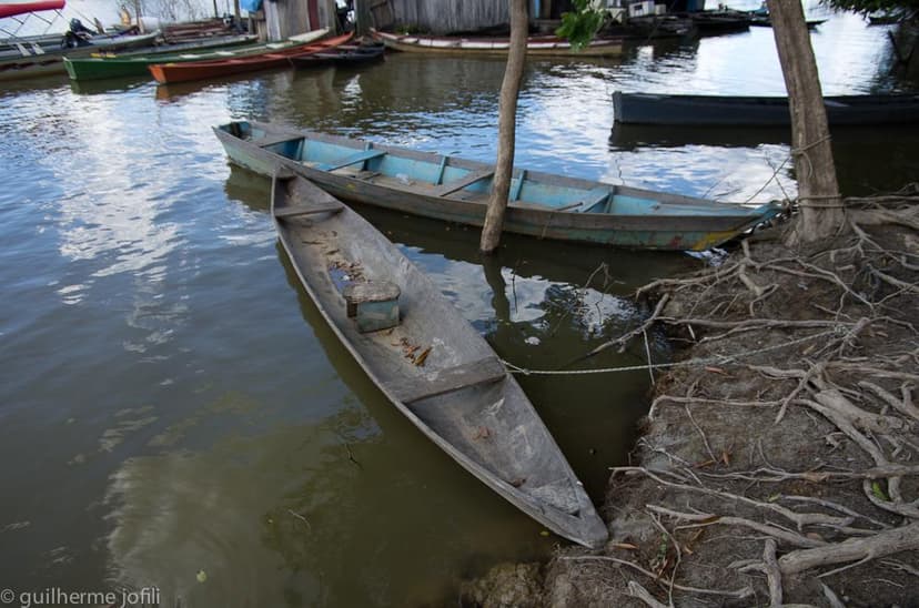 Rio Jamari