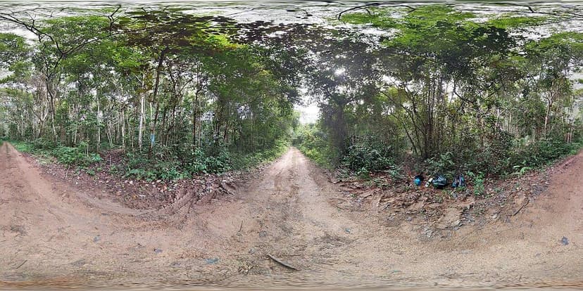 Floresta Nacional do Jamari
