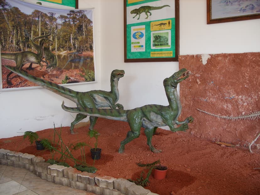 Museu Municipal Aristides Carlos Rodrigues