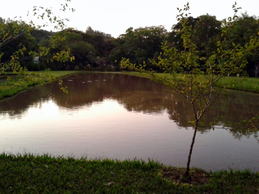 Balneario Taquaral