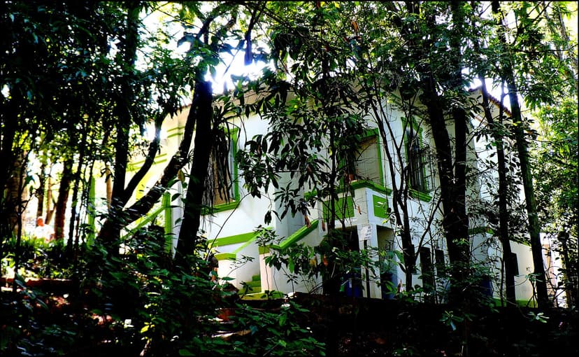 Bosque dos Jequitibás