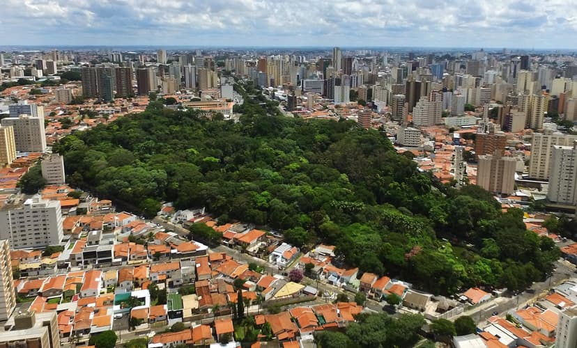 Bosque dos Jequitibás — Lagoa