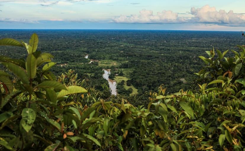 Parque Nacional da Serra do Divisor