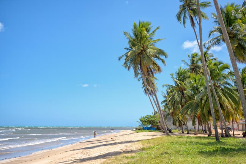 Maragogi