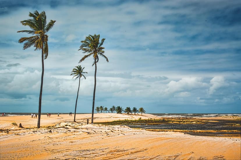 Foz do Rio São Francisco