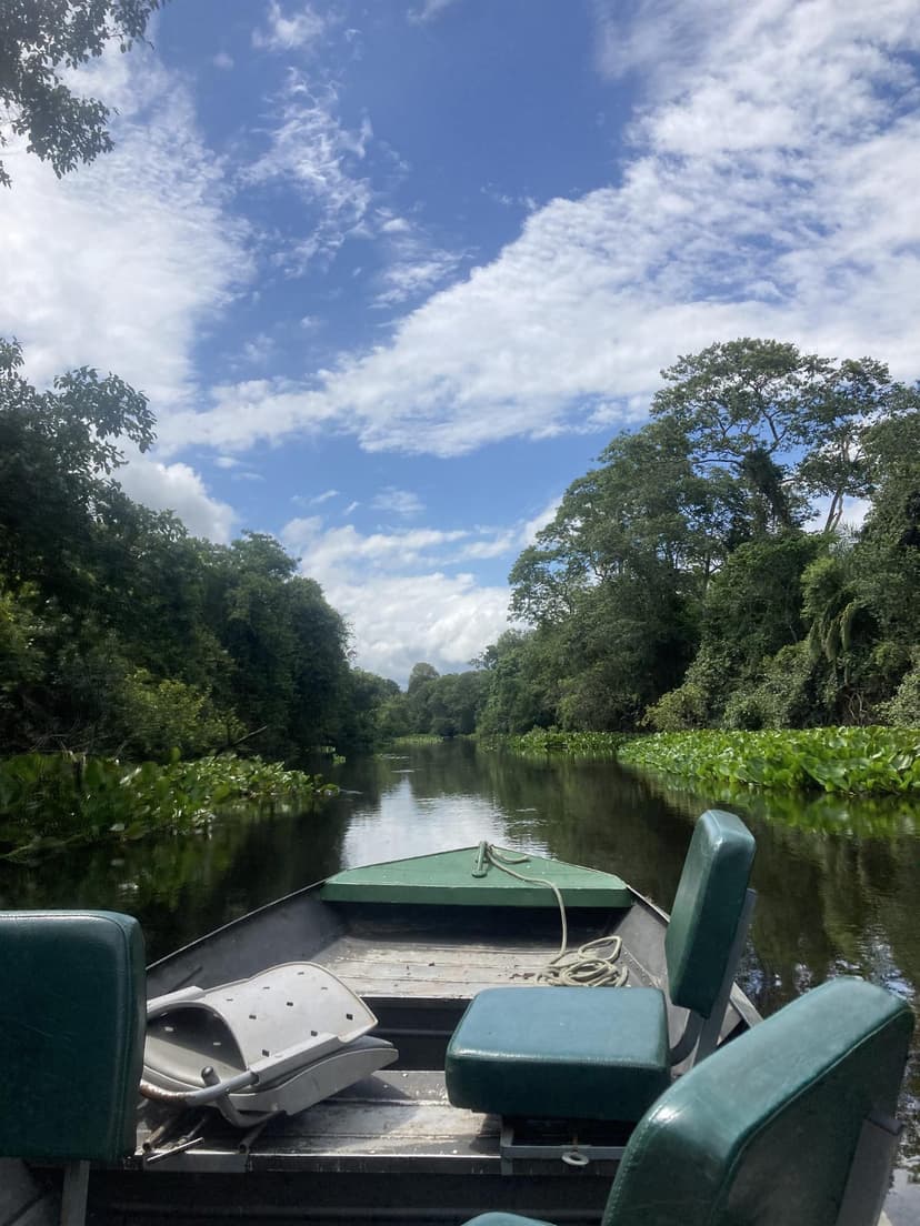 Rio Miranda