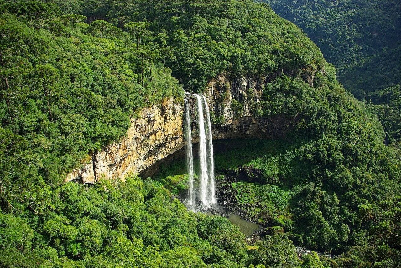 Cascata do Caracol despencando do paredão no meio da mata de araucárias