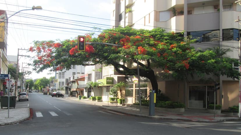 Criciúma