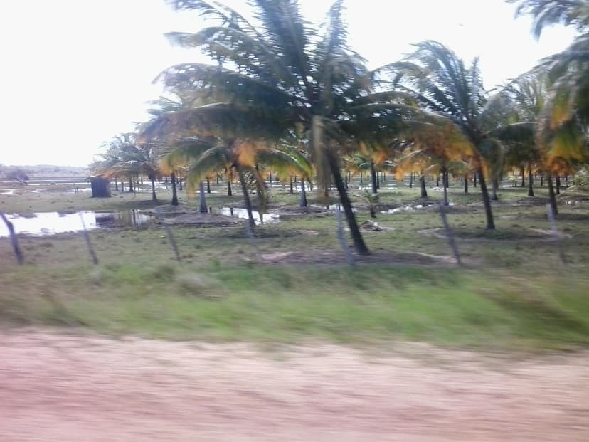 Estância