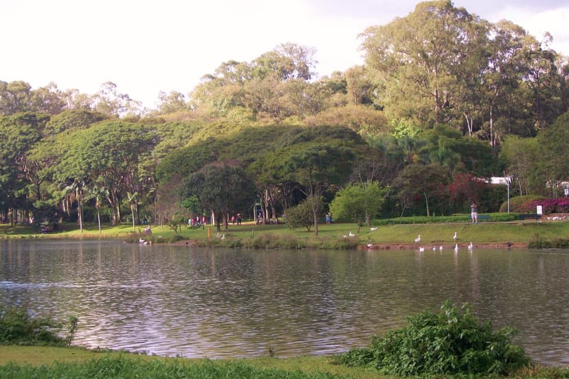 Lago do Ibirapuera
