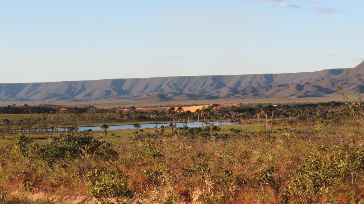 Tocantins
