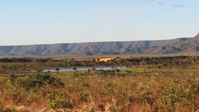 Mateiros